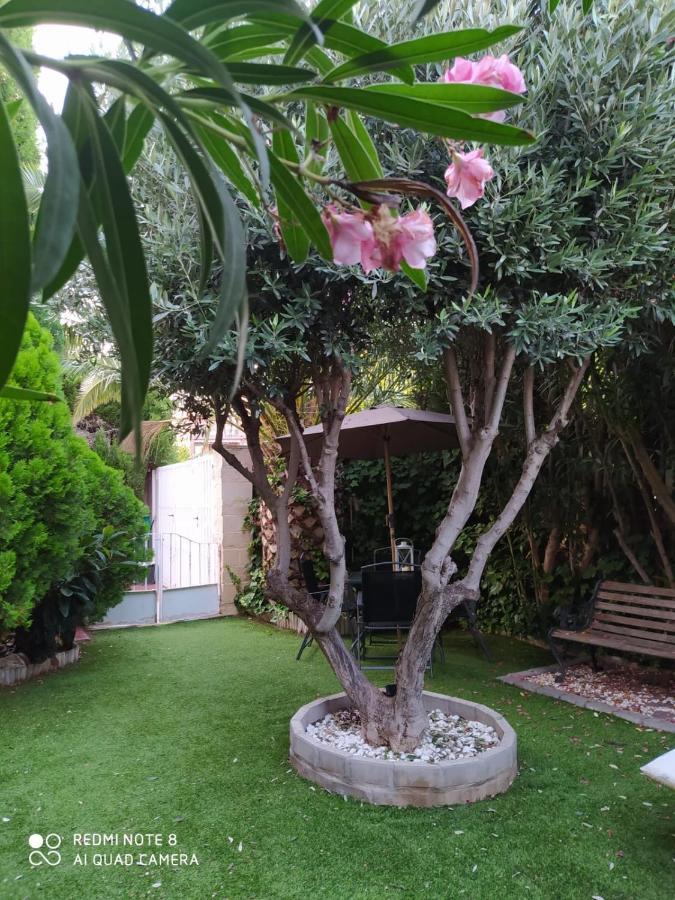 Bodega Intima Apartment Zaragoza Luaran gambar